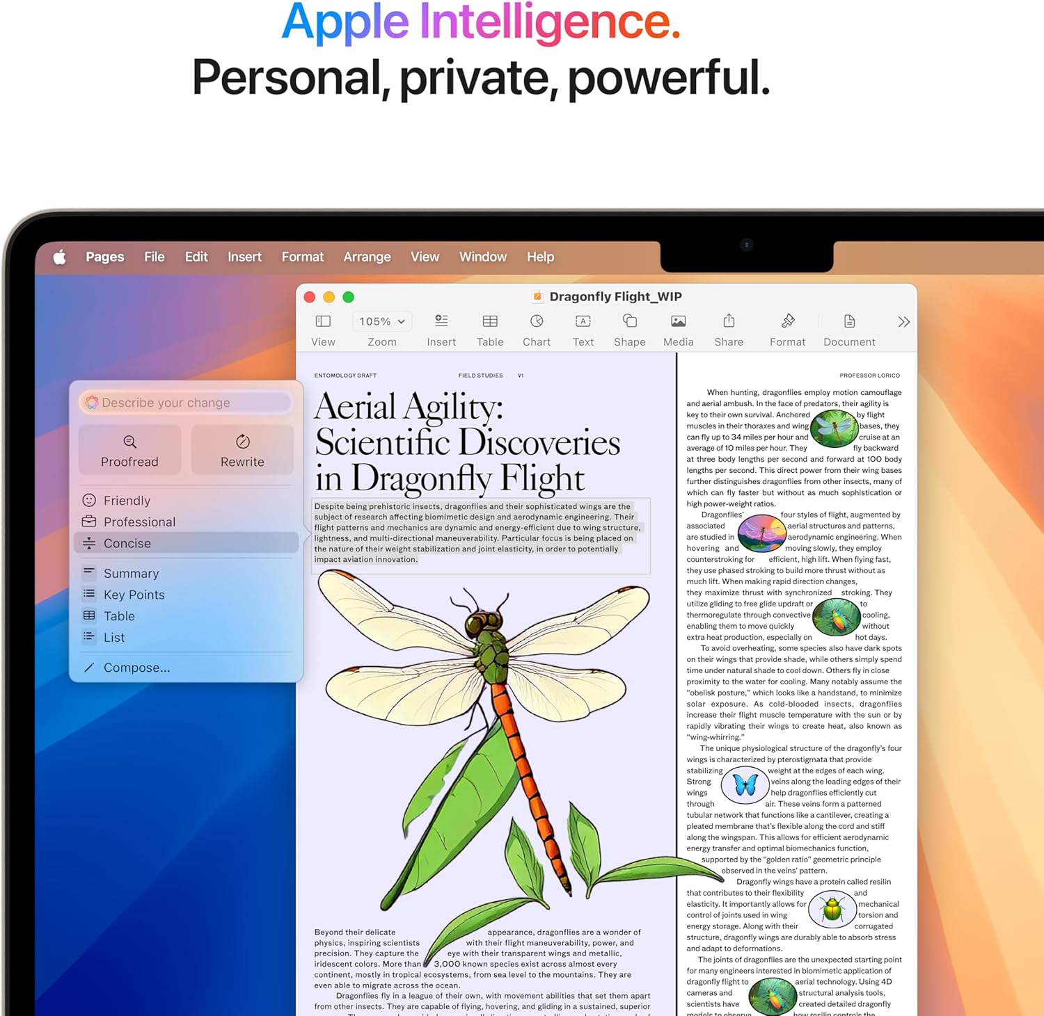 （Refurbished）Apple 2025 MacBook Air with Apple M4 Chip, 13-inch, 16GB RAM, 256GB SSD Storage, Starlight (Renewed)